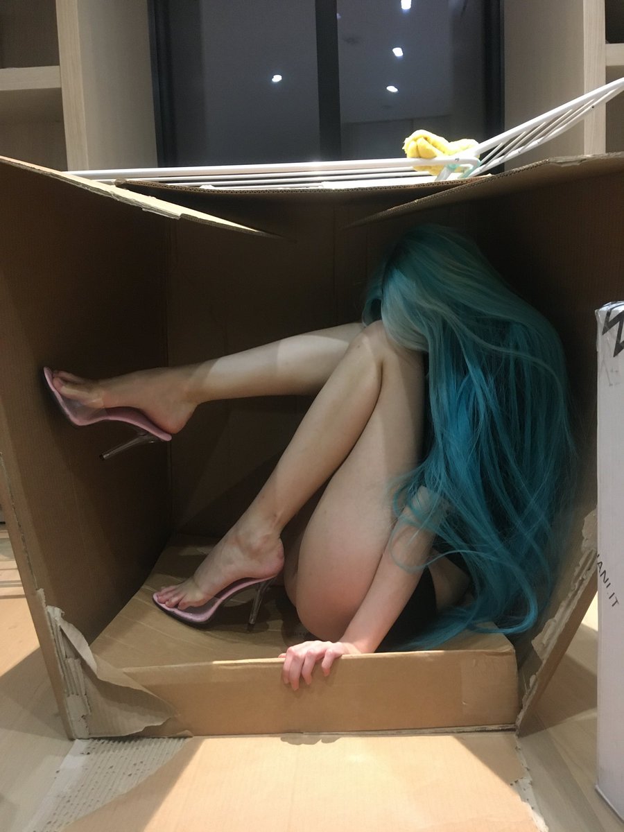 anokhinalol's tweet photo. accept the delivery please https://t.co/HqNL92HYlk