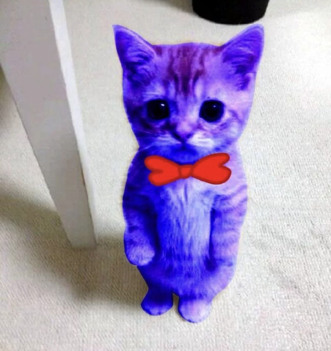 BryTheGuy tweet media