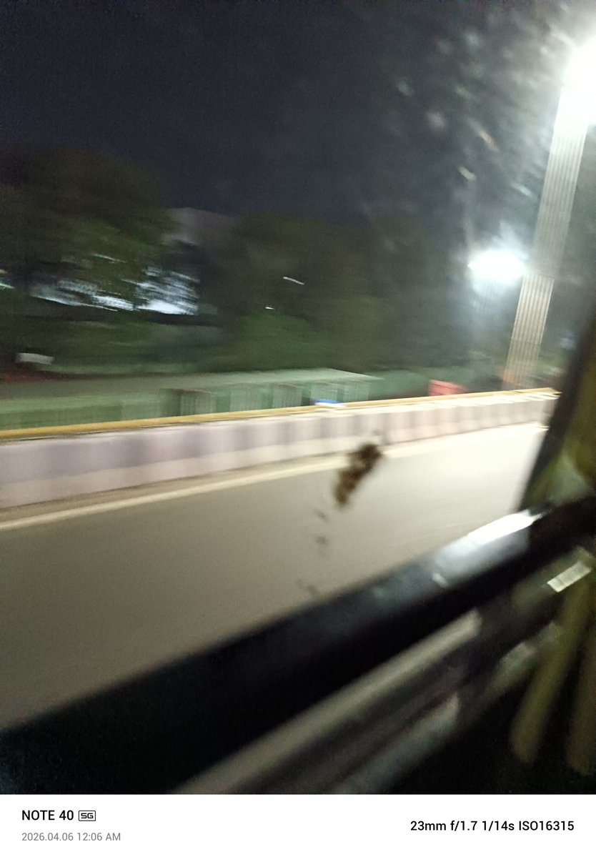 TEJASWINI K tweet media