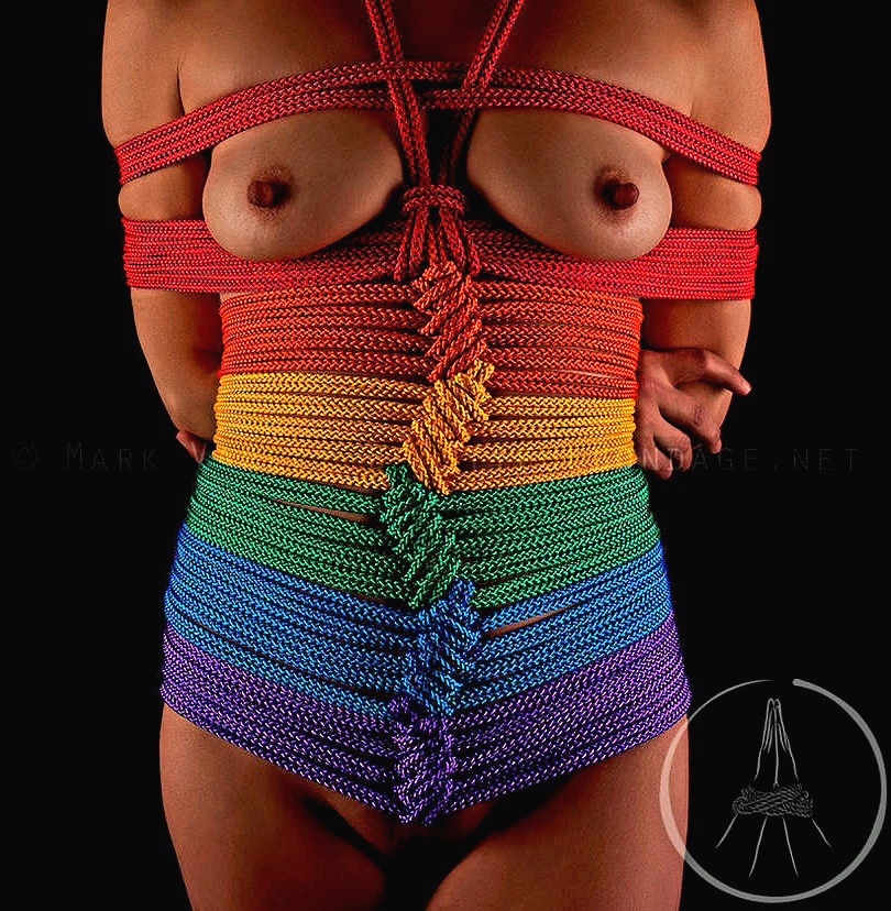 Soft & Owned tweet media