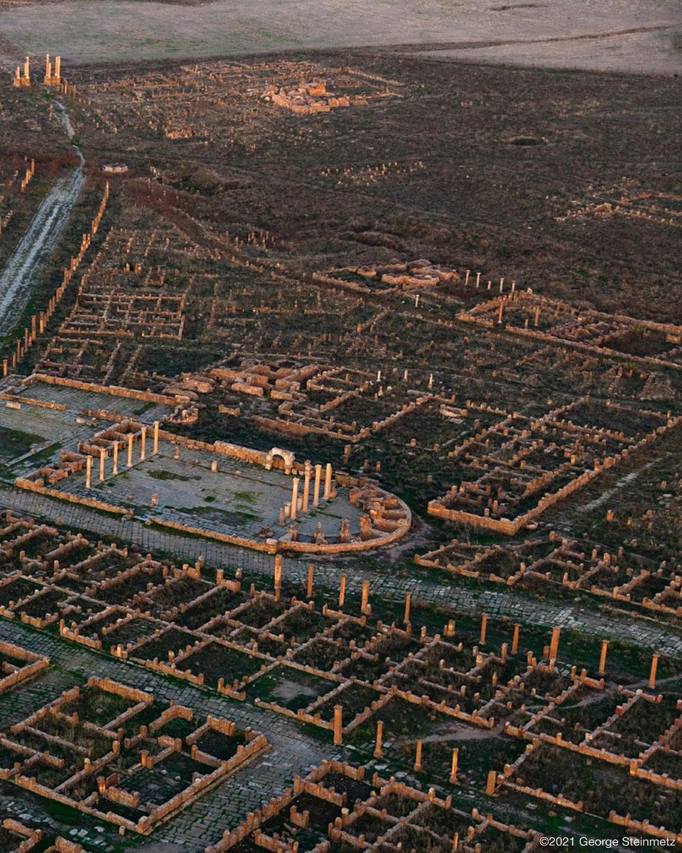 Aseel Swaid tweet media