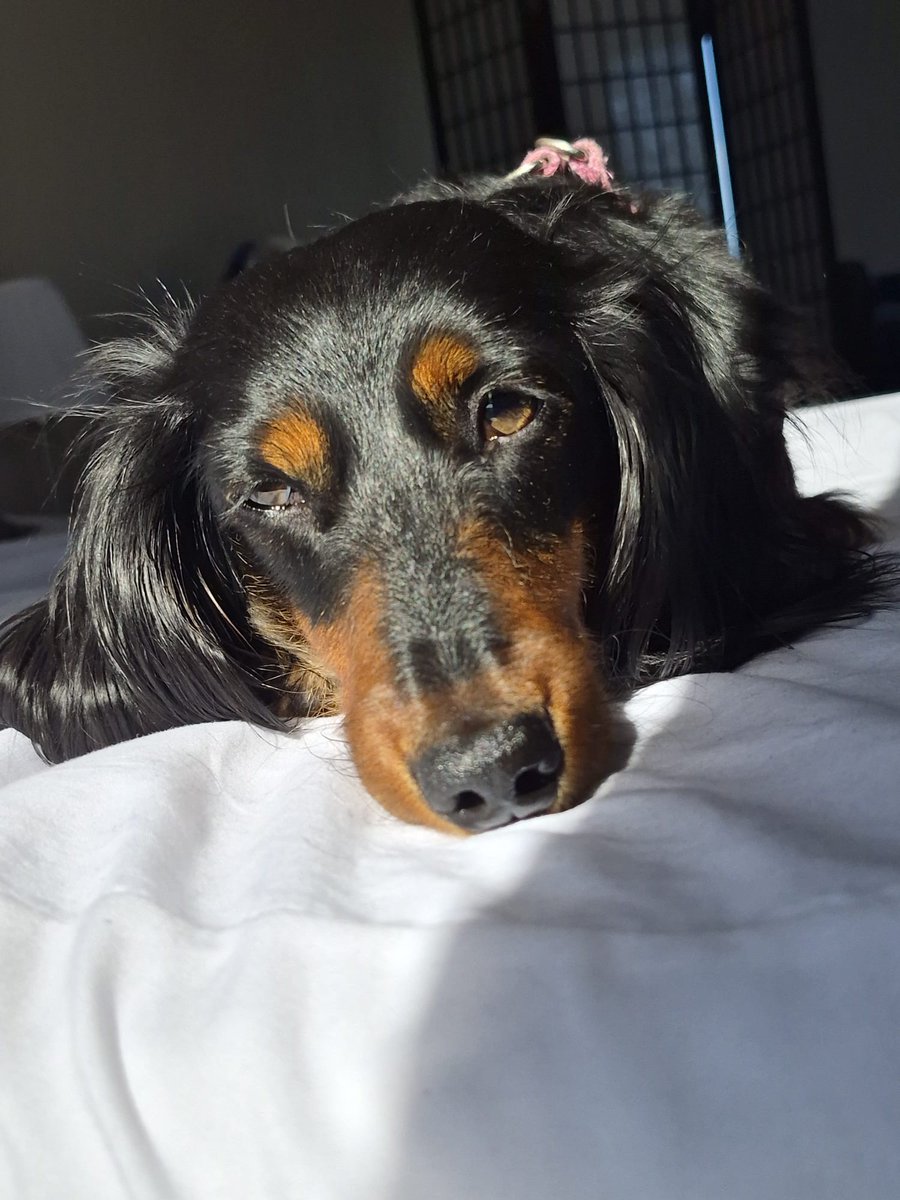 sη૯ӄ tweet media