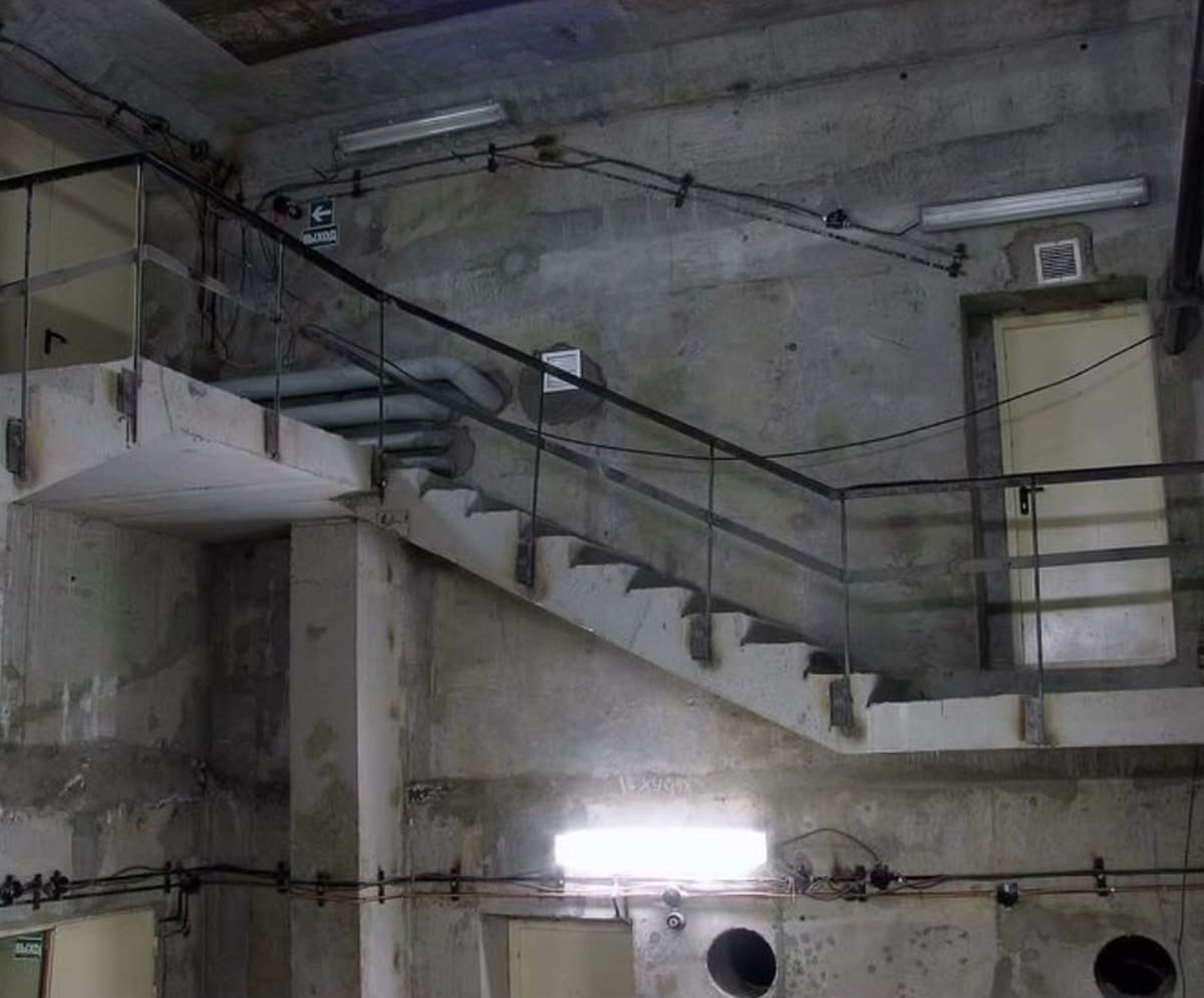 17525272901868291765377191994762551627829917365278 tweet media