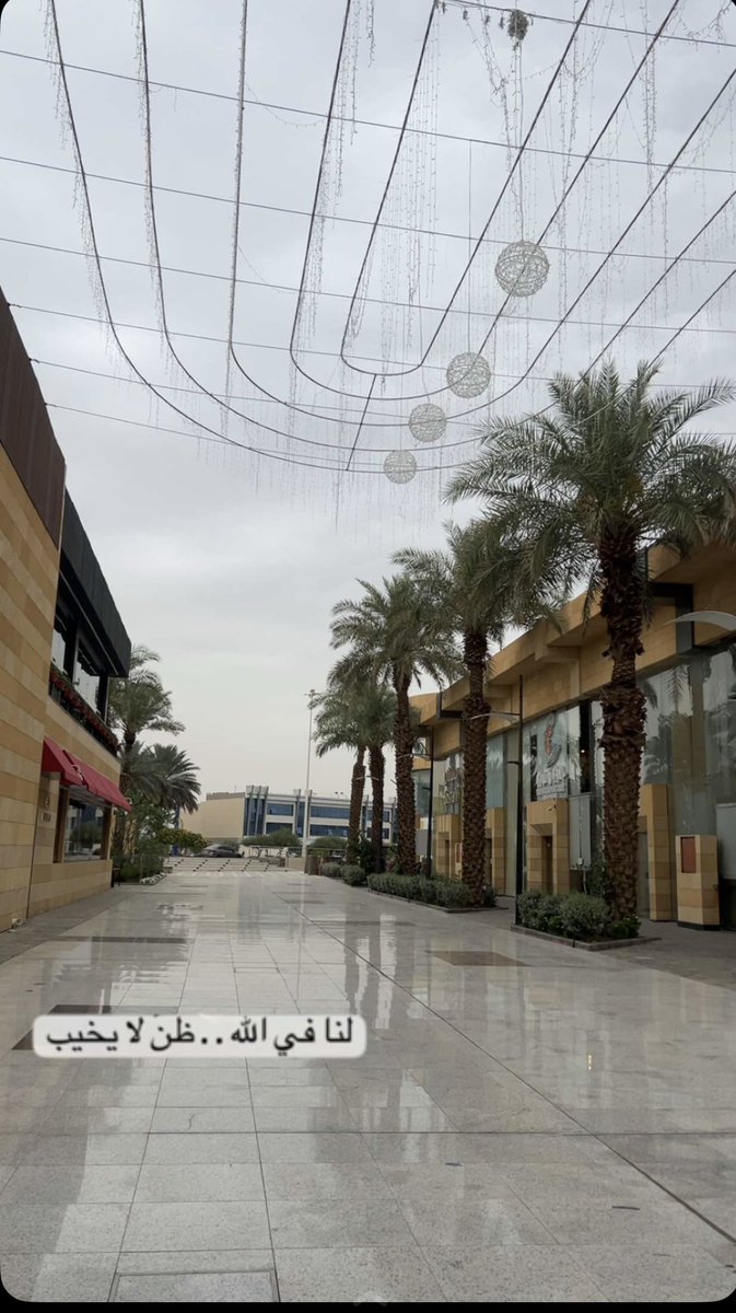 Fofo💛 tweet media