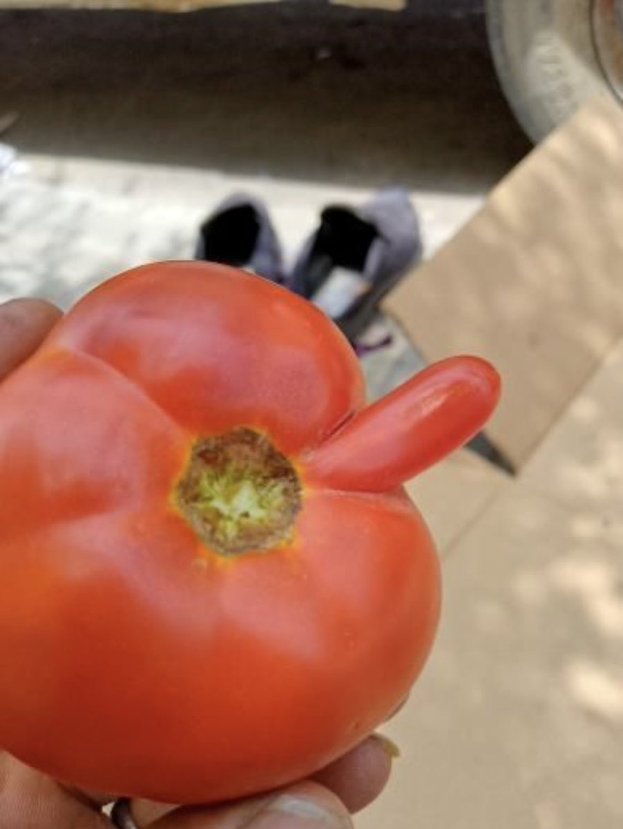 🏹 قناص 🏹 tweet media