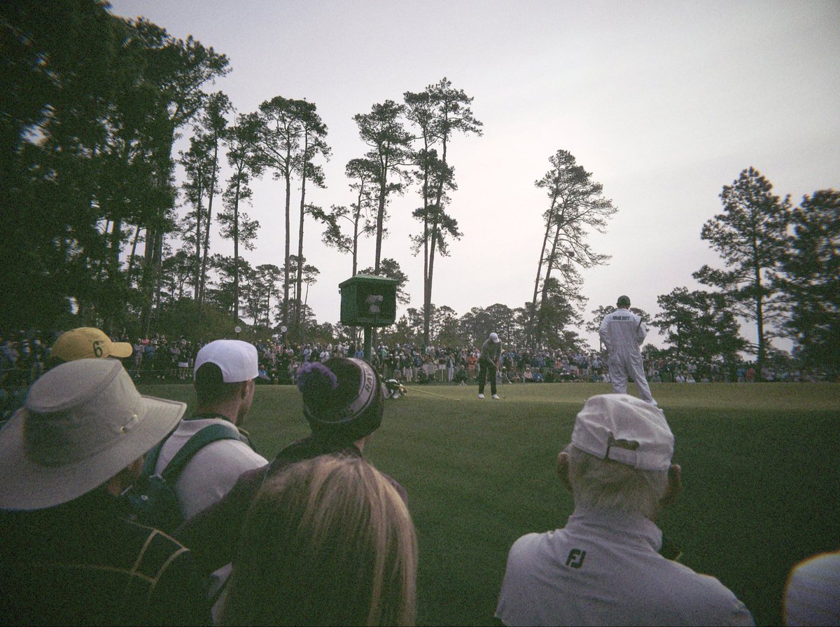 Maurice Brosnan tweet media