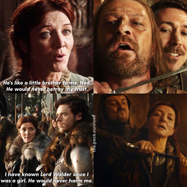 ☥𝑩𝑳𝑽𝑪𝑲𝑮𝑶𝑳𝑫† tweet media