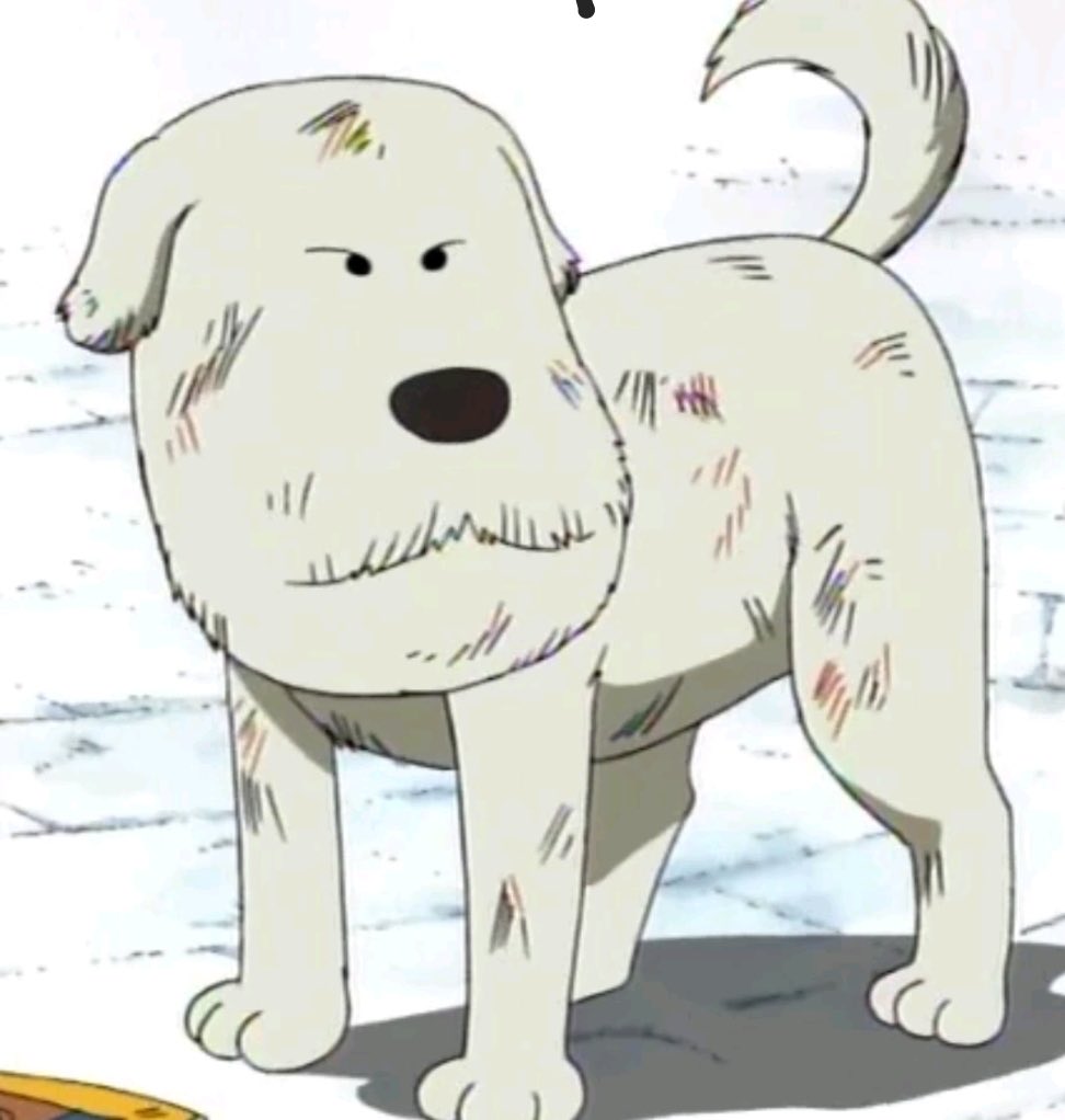 kortizol tweet media