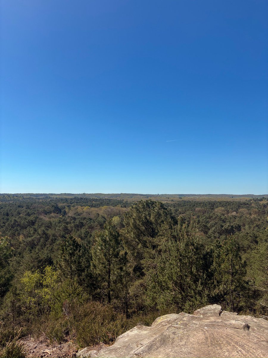 ស្នេហា tweet media