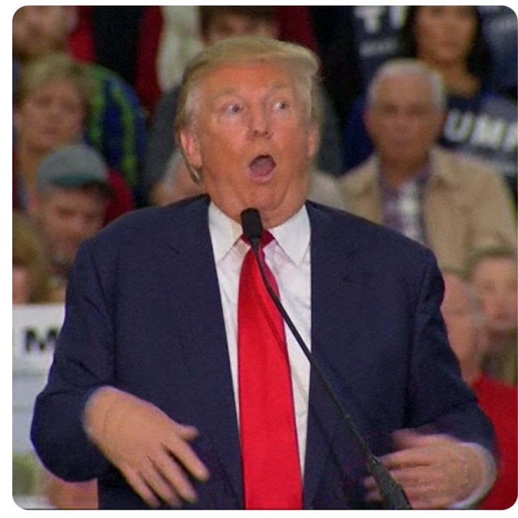 Mitchell Gant tweet media