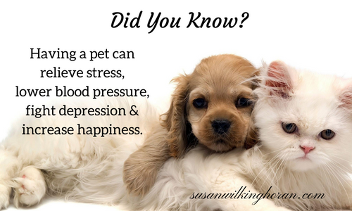 SWilkingHoran's tweet image. #Tuesday #Tips ~ The power of #pets ~ Great company &amp;amp; so good for our #mental &amp;amp; #physical #health. 🐶🐱🐰 #HealthHabits #wellbeing #wellness #happiness #animals #dogs #cats #writerscommunity #authors #tuesdayvibe