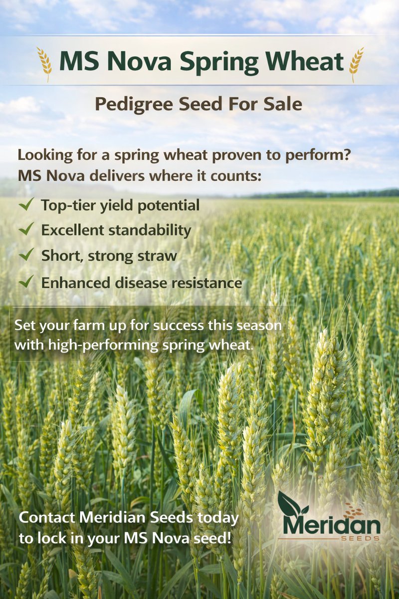 Meridian Seeds tweet media