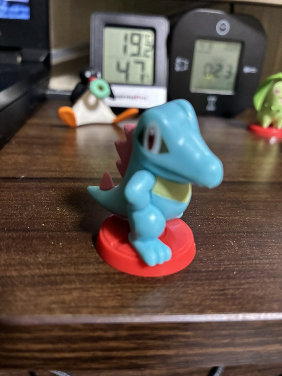 ワニノコおおおおおおおおおおおお！！！！！