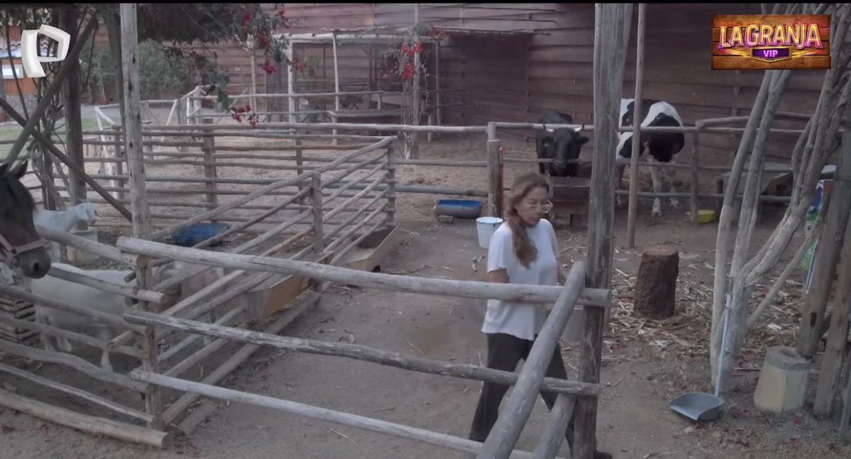 Ric La Torre tweet media