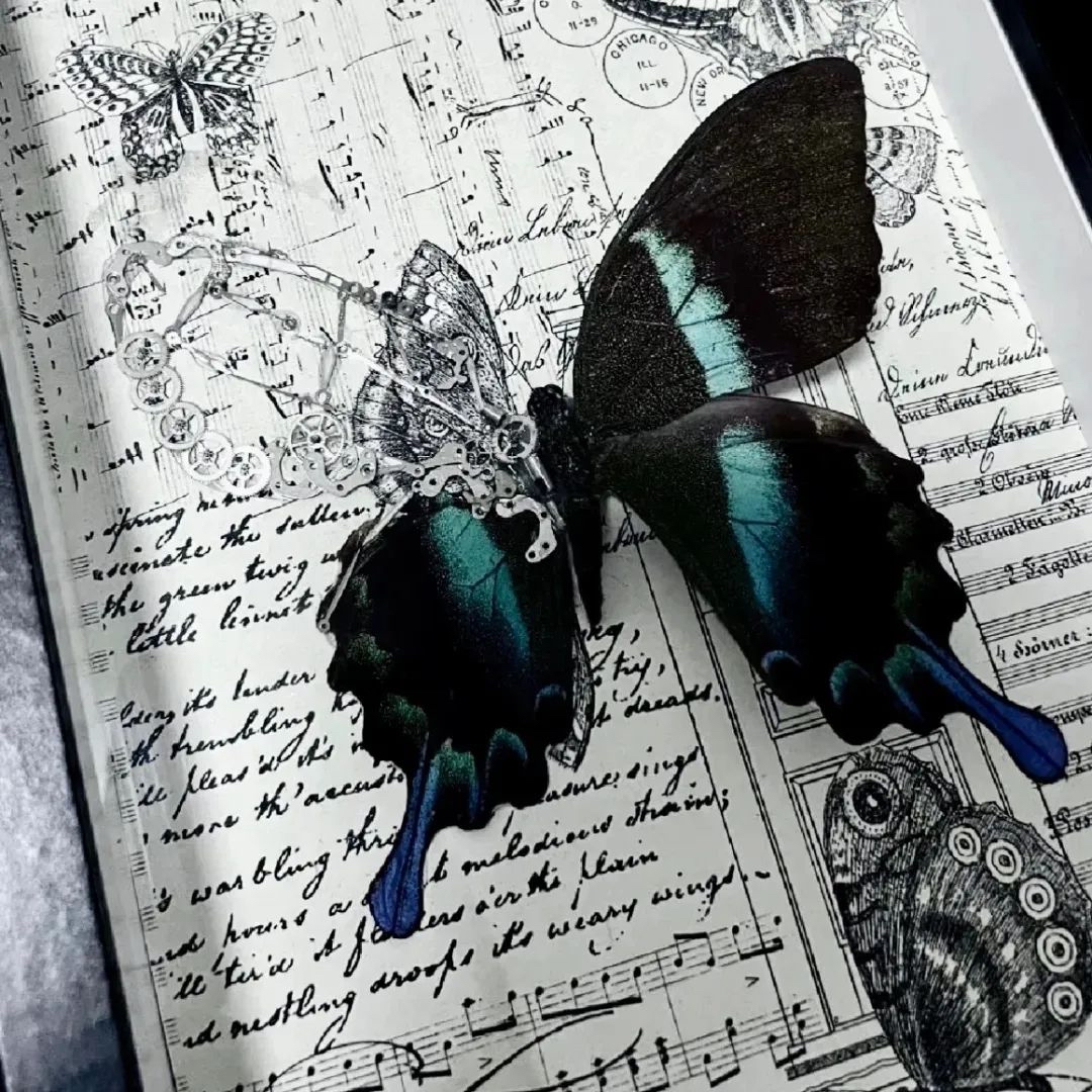 Amit Dalal tweet media