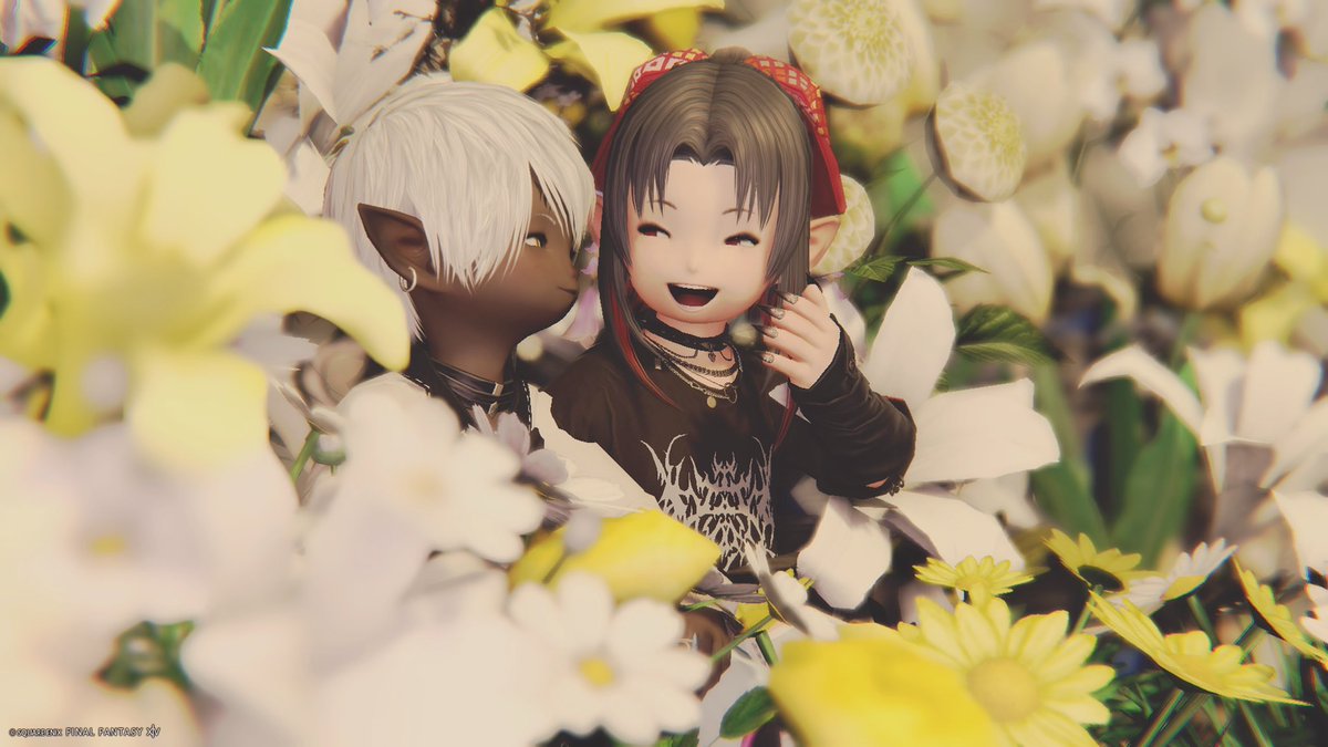 Raul 🜸 tweet media