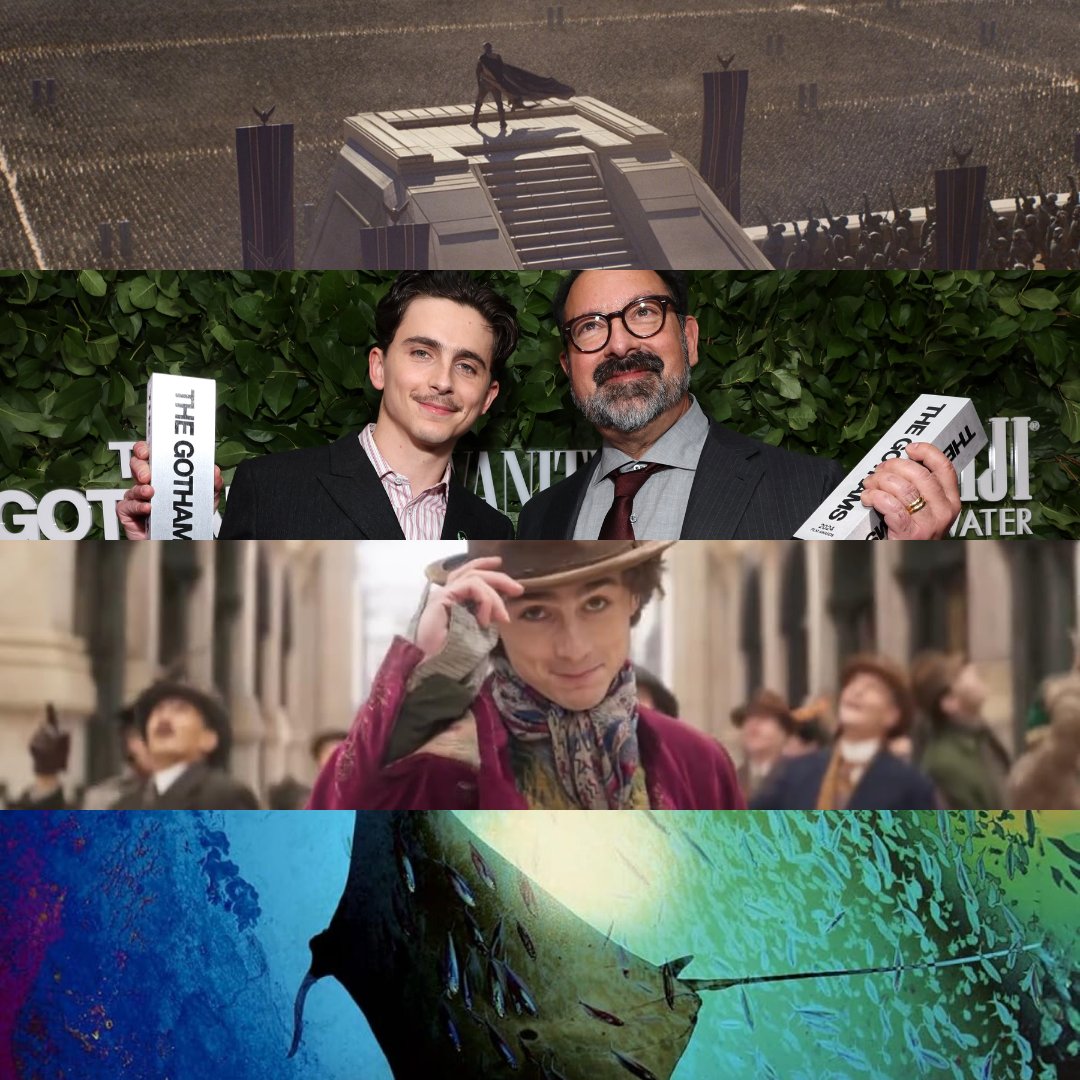 Feature First 🍿🎬 tweet media