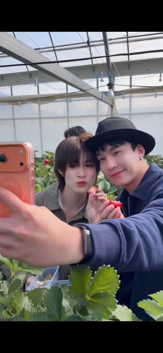 𝐭𝐨𝐨 𝐟𝐥𝐲 𝐭𝐨 𝐜𝐚𝐫𝐞🌗 tweet media