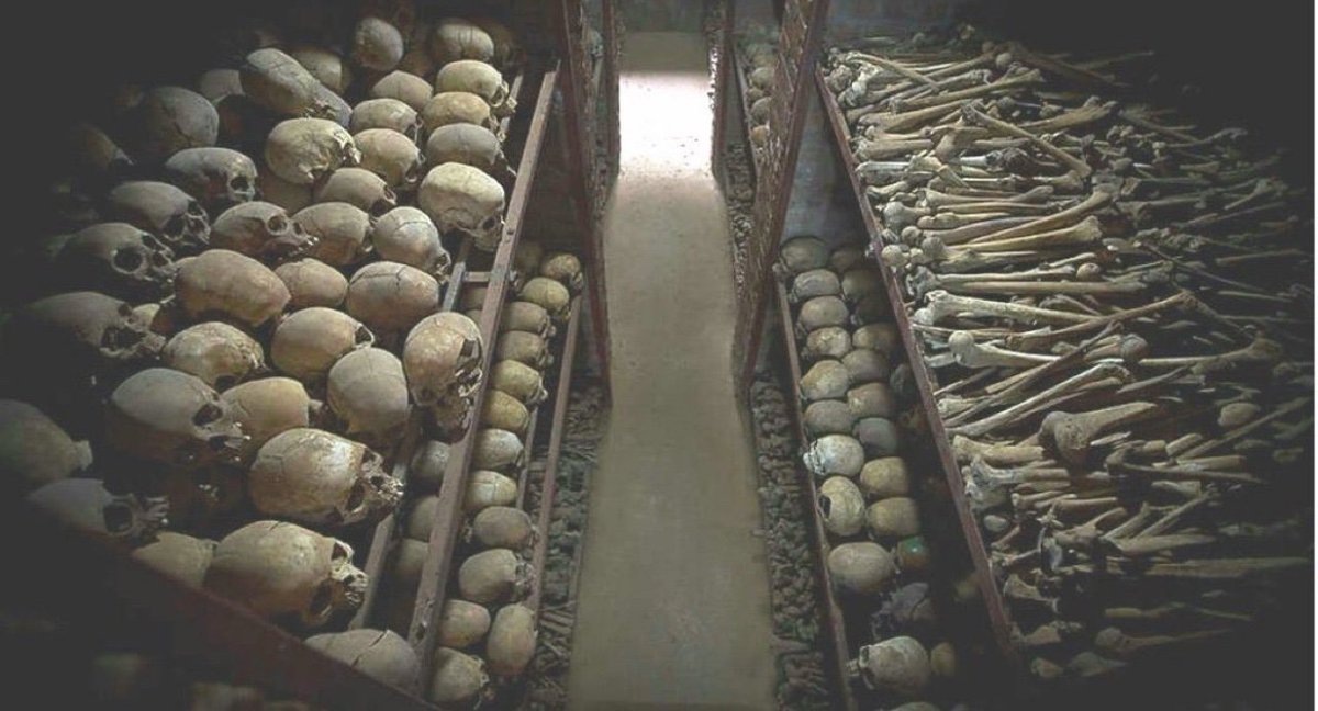 Freedom fighter tweet media