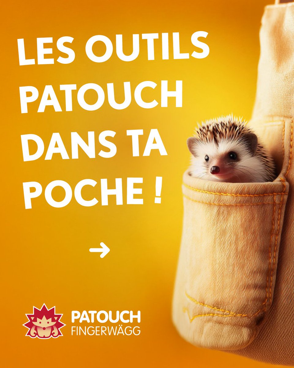 Patouch_ch's tweet photo. 🎉 𝗟𝗲𝘀 𝗼𝘂𝘁𝗶𝗹𝘀 𝗣𝗮𝘁𝗼𝘂𝗰𝗵 𝗱𝗮𝗻𝘀 𝘁𝗮 𝗽𝗼𝗰𝗵𝗲 🎉

L'appli pour prévenir les violences envers les enfants !

Téléchargez l’appli gratuitement → https://t.co/0i5uk7lwdz

#enfants #ensemble #prevention #application https://t.co/eT6KerTcNH