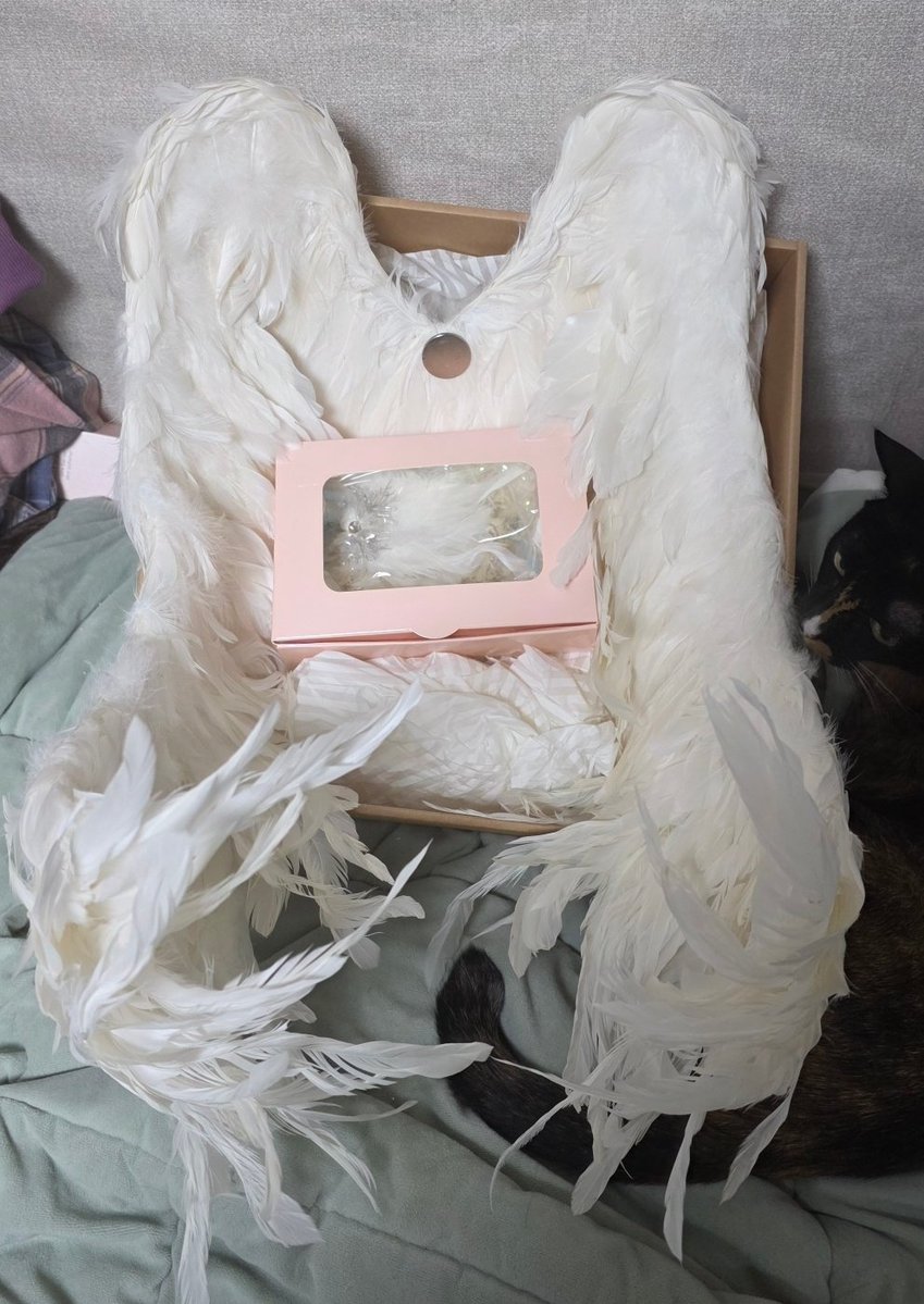 ๋(ํด์ธ๊ฑฐ๋X/๋์ X/์คํํก์ฐ๋ฝ) tweet media