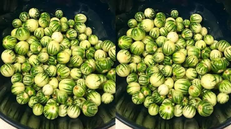 Chubby Audrey🍼 tweet media