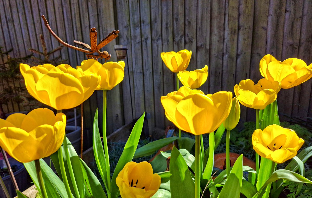 gary parratt tweet media