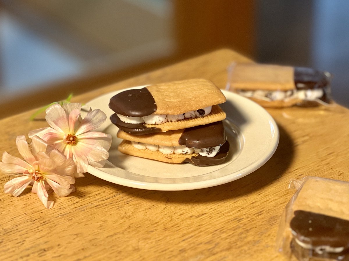 ぬい 🦚 tweet media