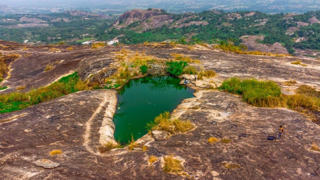 Hon. Jesugbemi tweet media