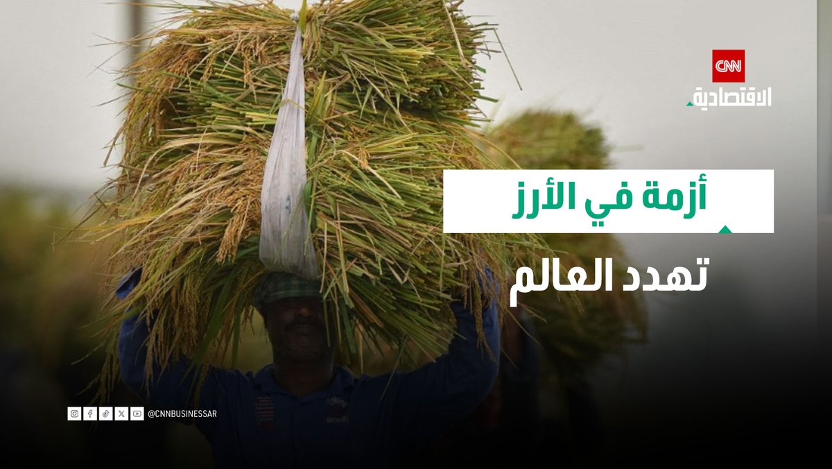 أليشر ميرزاباييف، كبير الباحثين في تحليل السياسات وتغيّر المناخ بالمعهد الدولي لبحوث الأرز، في مقابلة خاصة مع CNN الاقتصادية: تأثير أزمة الأسمدة والوقود في موسم الأرز قد يدفع الأسعار إلى مستويات أعلى 