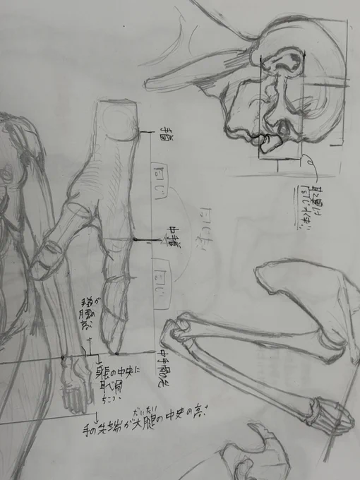 人体再度勉強中 