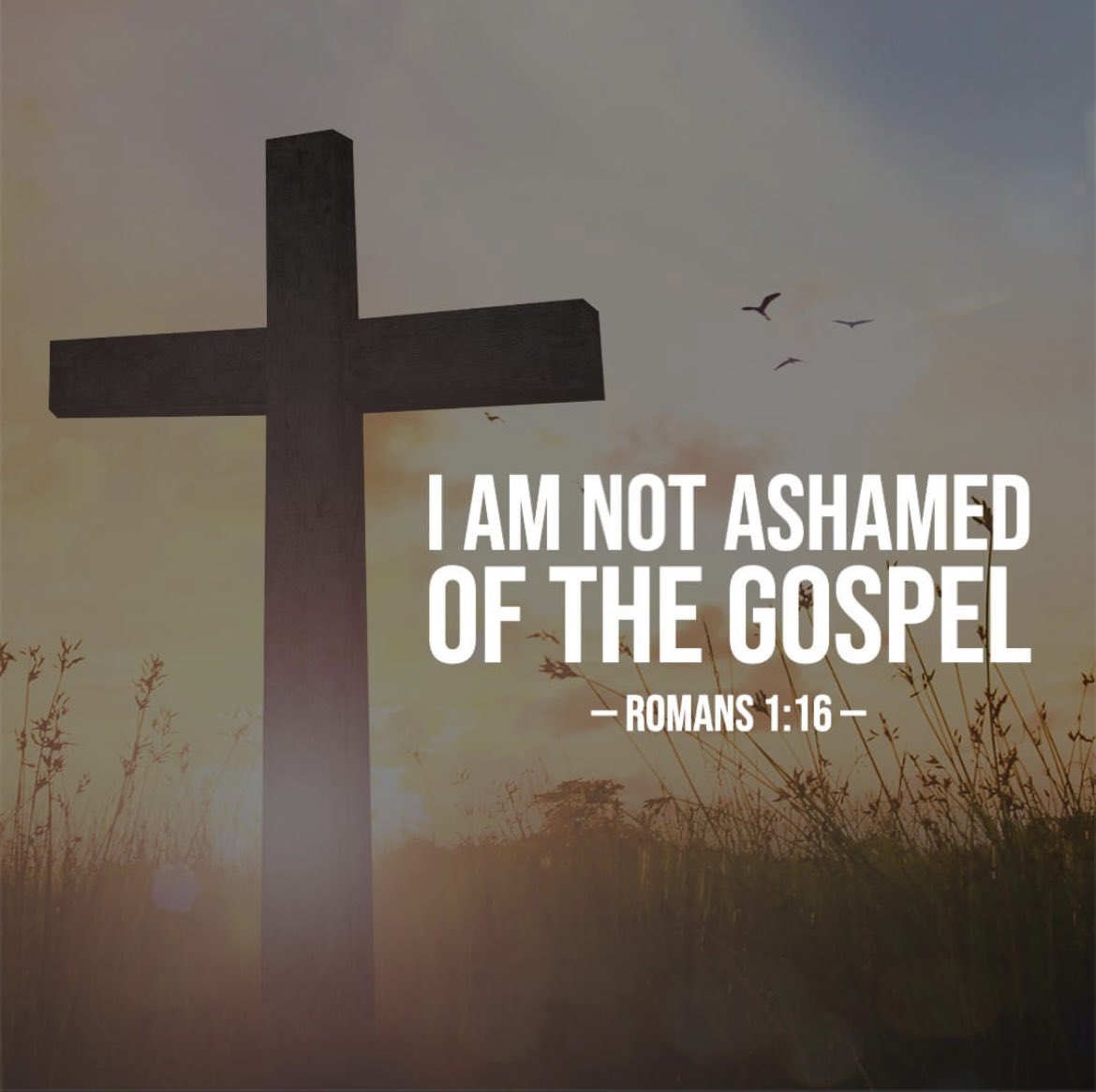 John Wisconsin 1956🇺🇸🇺🇸🇺🇸 tweet media