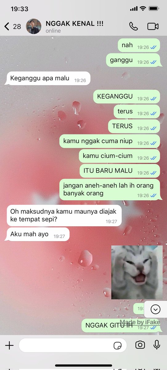 🐰🪽🩵 tweet media