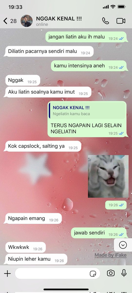 🐰🪽🩵 tweet media