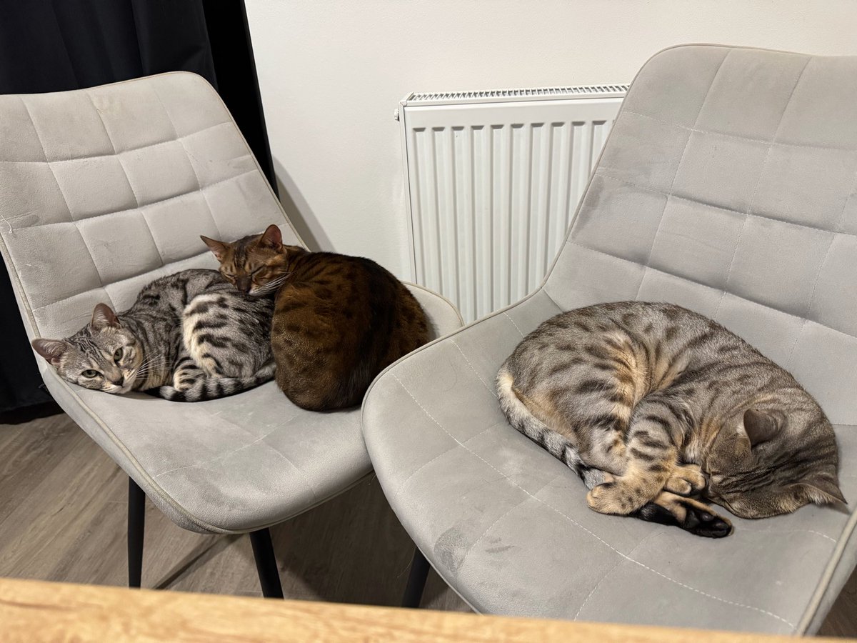 Karel Chcimír tweet media