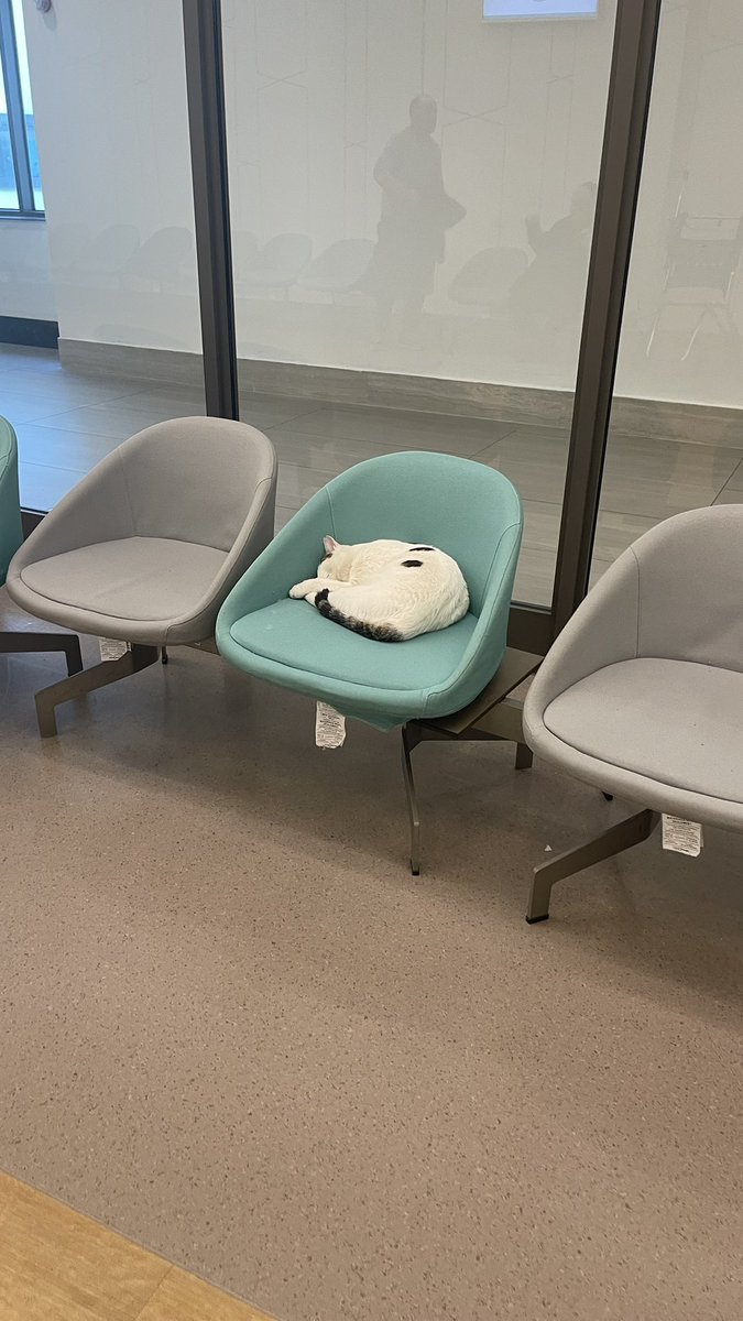 Yasemin Aydin 🇹🇷 tweet media