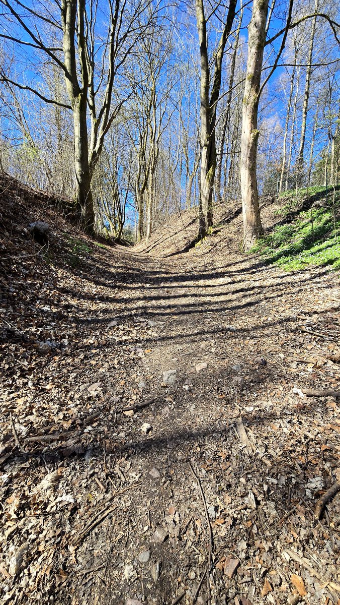 Ormuz 🕊 tweet media