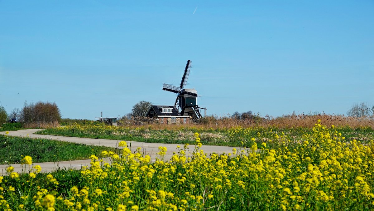 Ton Wesselius tweet media