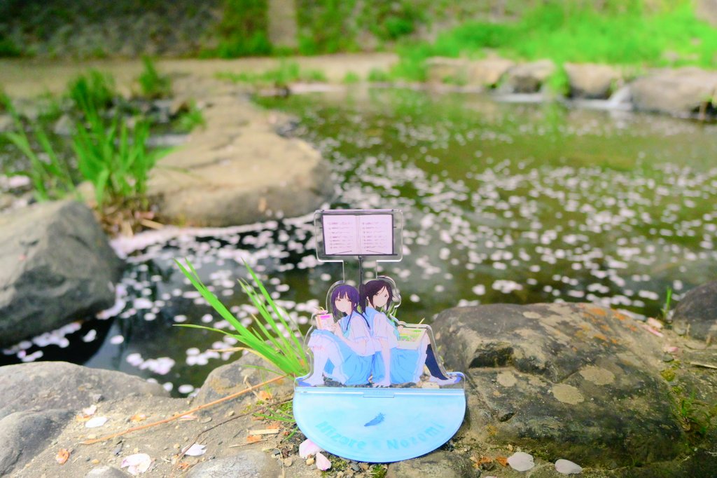 コイ太郎 tweet media