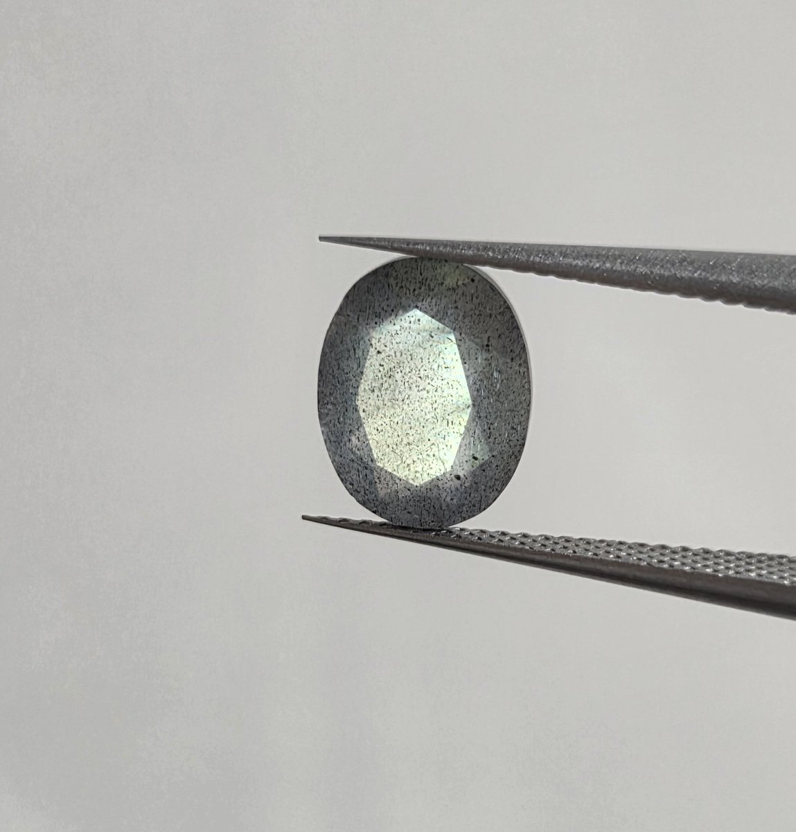 붕어마름 tweet media