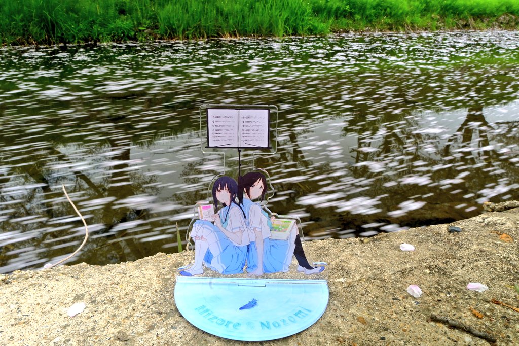 コイ太郎 tweet media