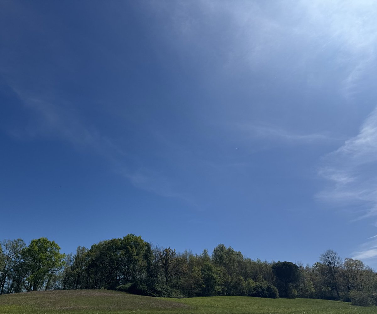 𝒯𝓇𝓊𝒹𝓎 tweet media