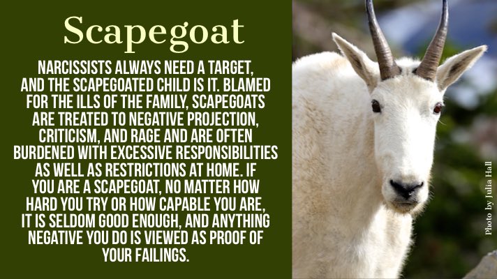 Ellen van der veen tweet media