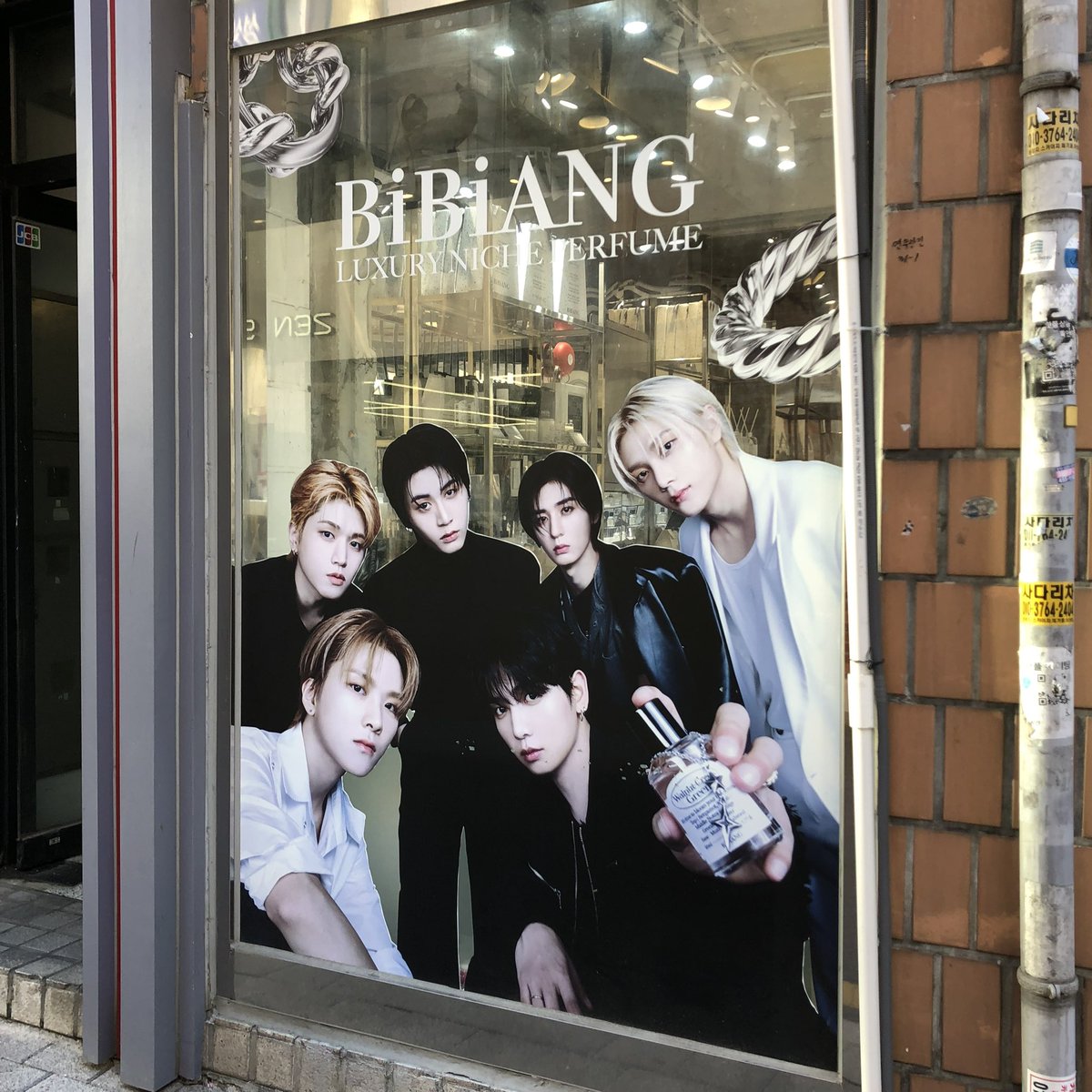 おまめ山 tweet media