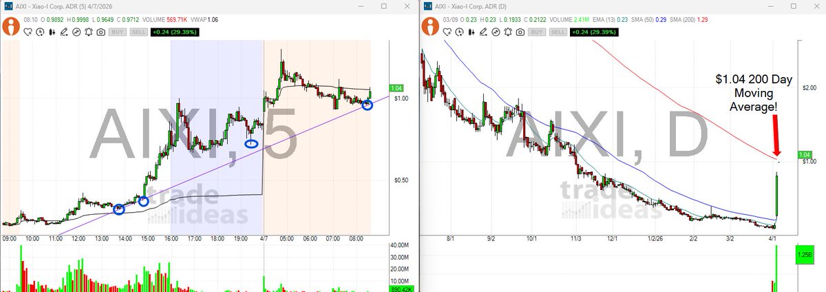 Andrew Salmi tweet media