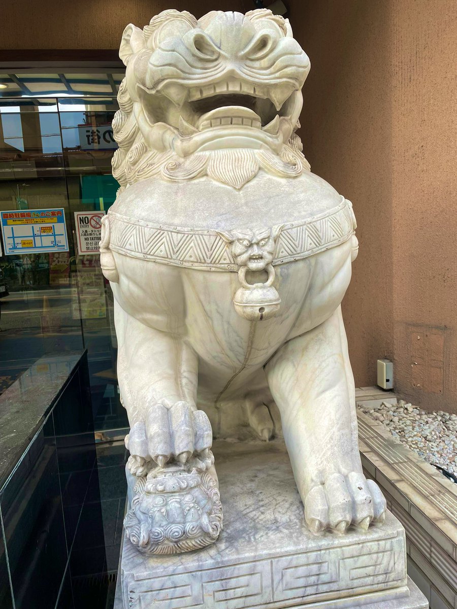 八狐-yako- tweet media