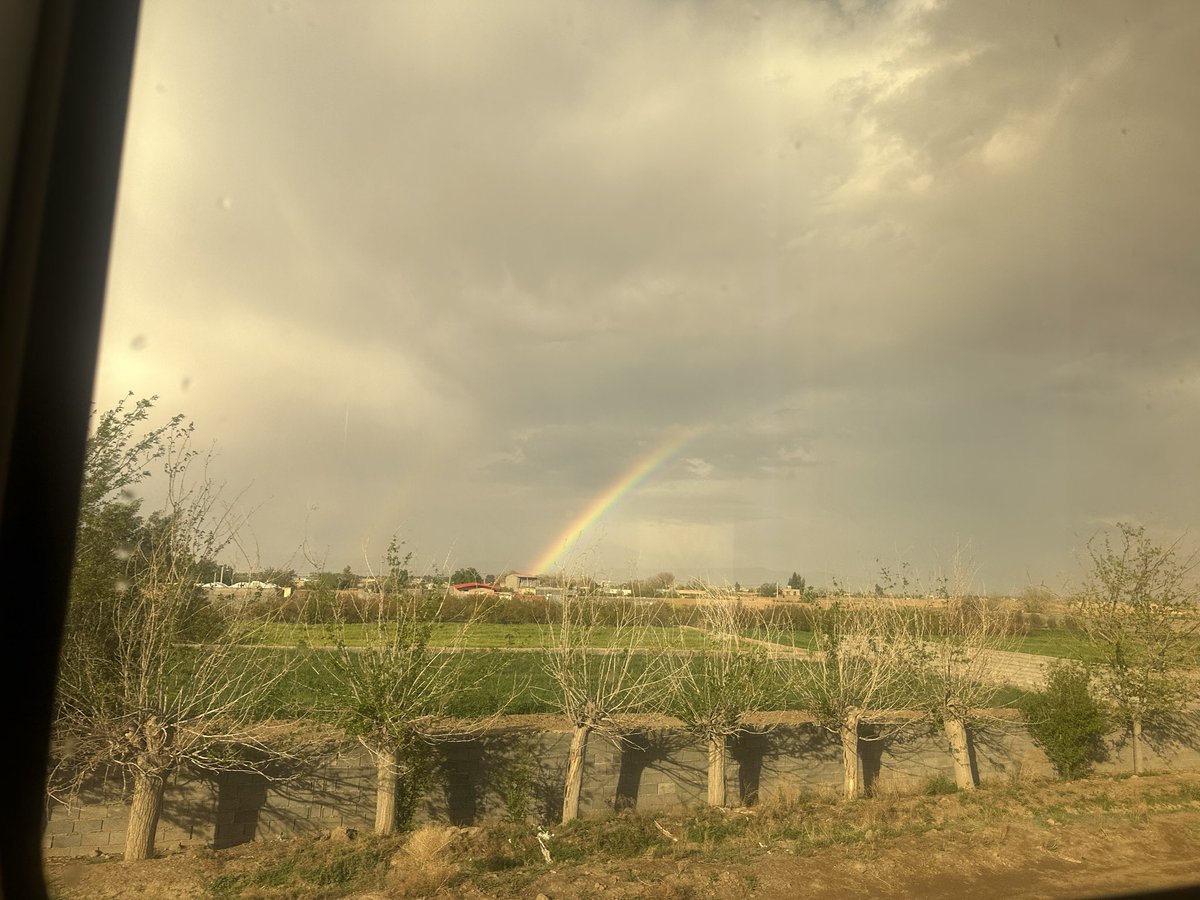 Helyeh Doutaghi tweet media