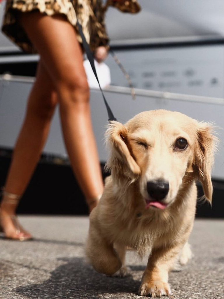 marianne tweet media