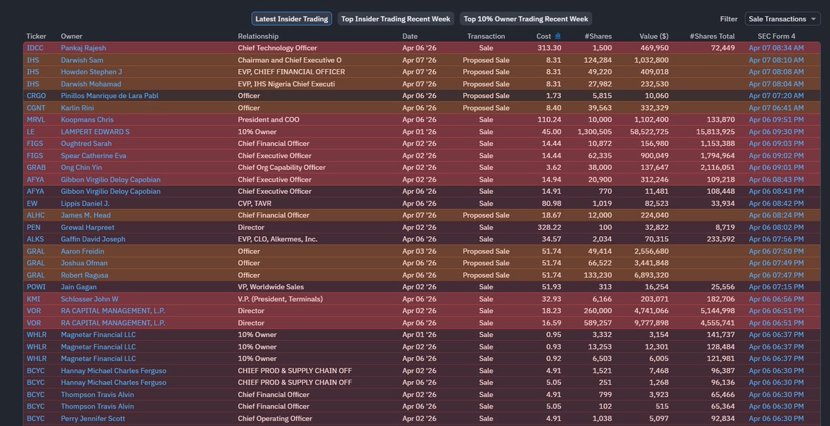 urso_de_shorts tweet media