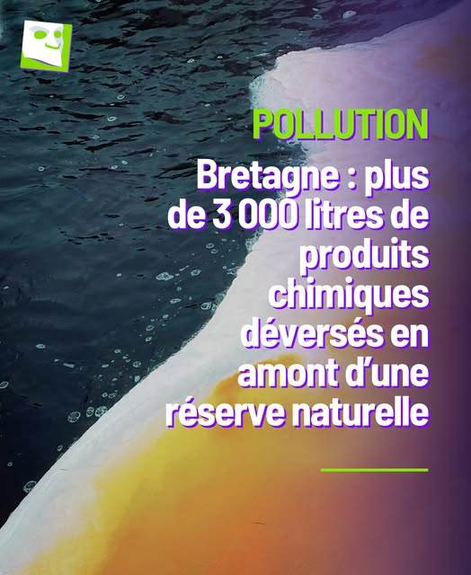 Mr Mondialisation tweet media